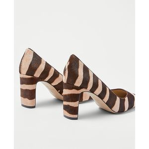 Ann Taylor Zebra Print Haircalf Blade Heel Pumps